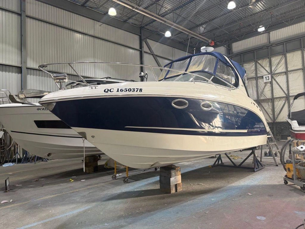 Chaparral 250 Signature 2009