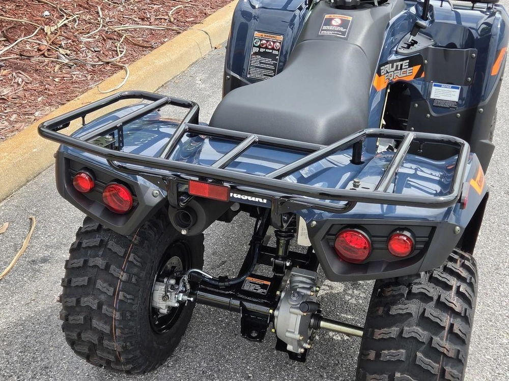 2026 Kawasaki Brute Force® 300
