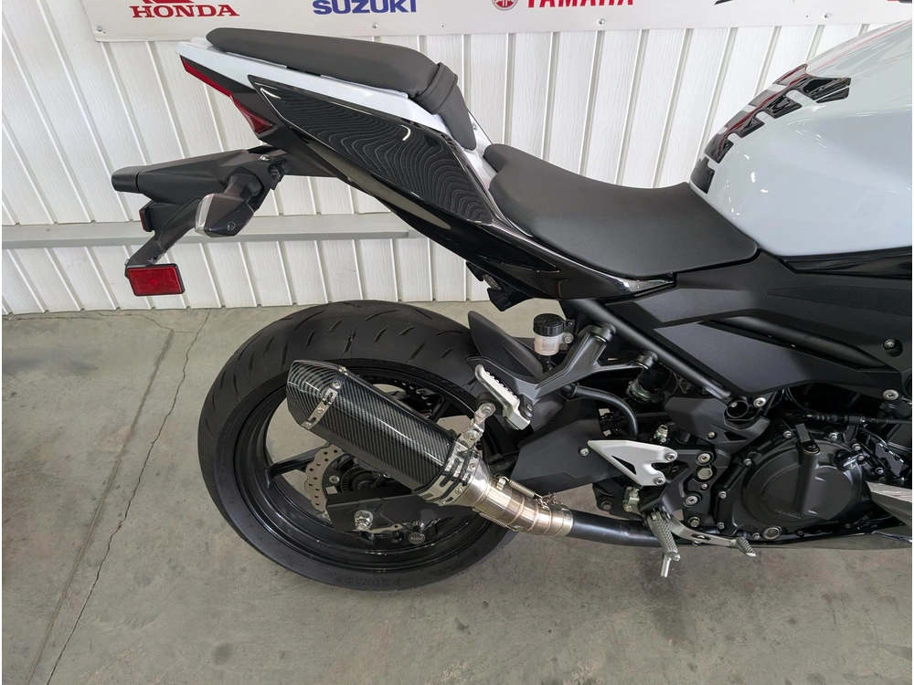 Kawasaki Z 400 2019 alt