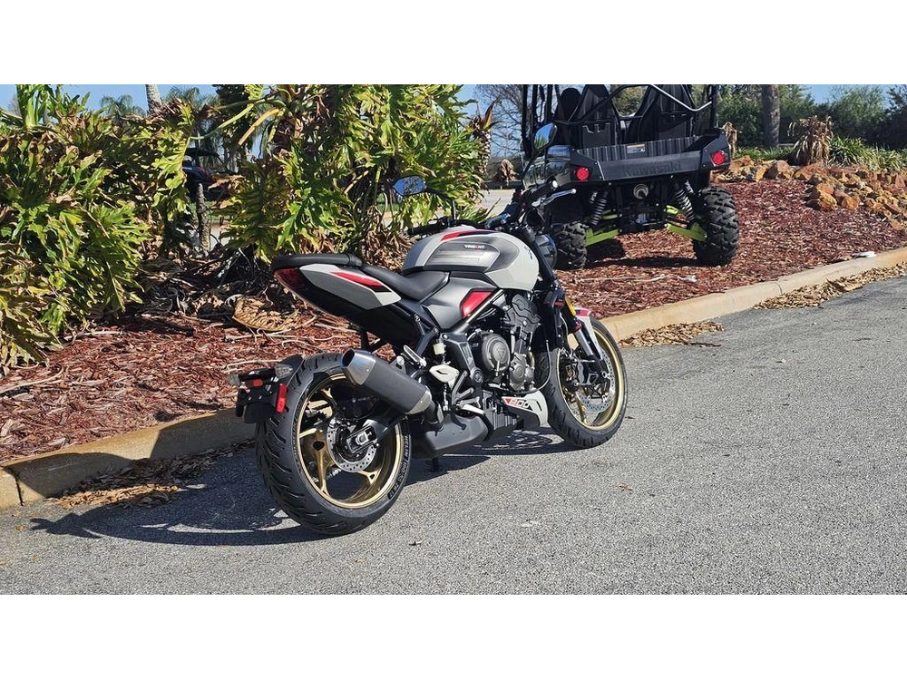 2026 Triumph Trident 800 Ash Grey
