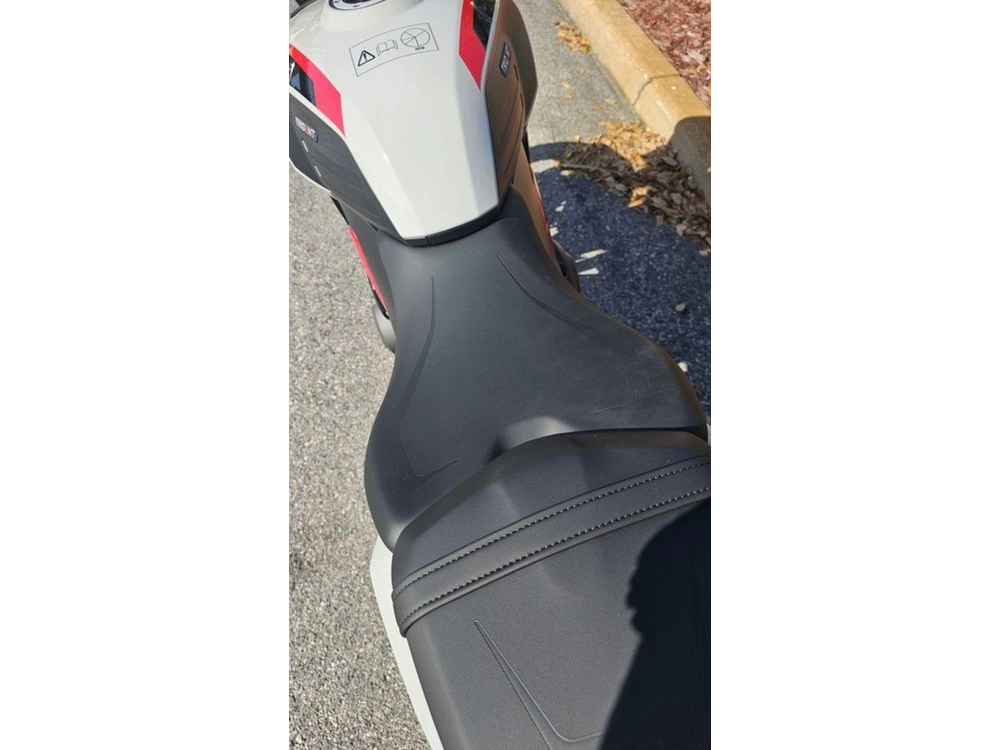 2026 Triumph Trident 800 Ash Grey
