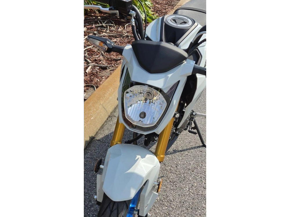 2026 Kawasaki Z125 Pro