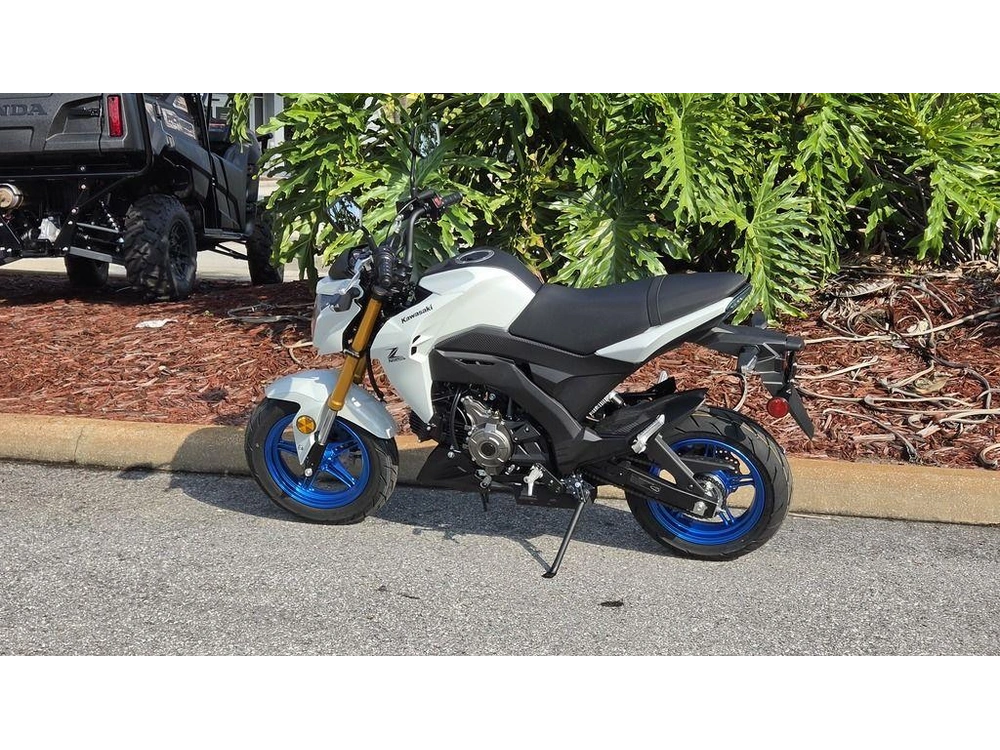 2026 Kawasaki Z125 Pro