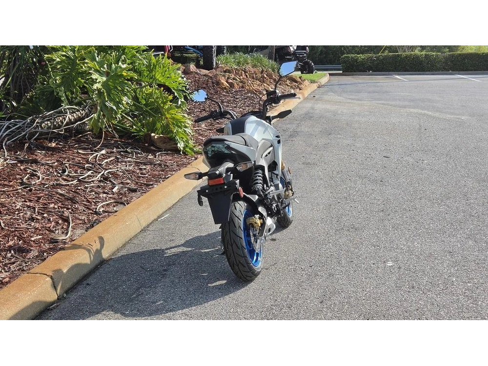 2026 Kawasaki Z125 Pro