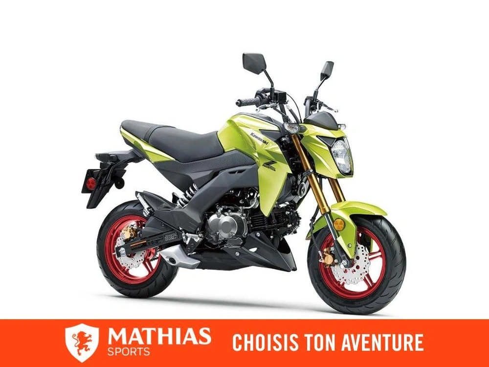 2026 Kawasaki Z125 Pro