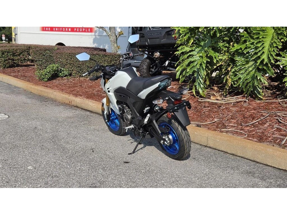 2026 Kawasaki Z125 Pro