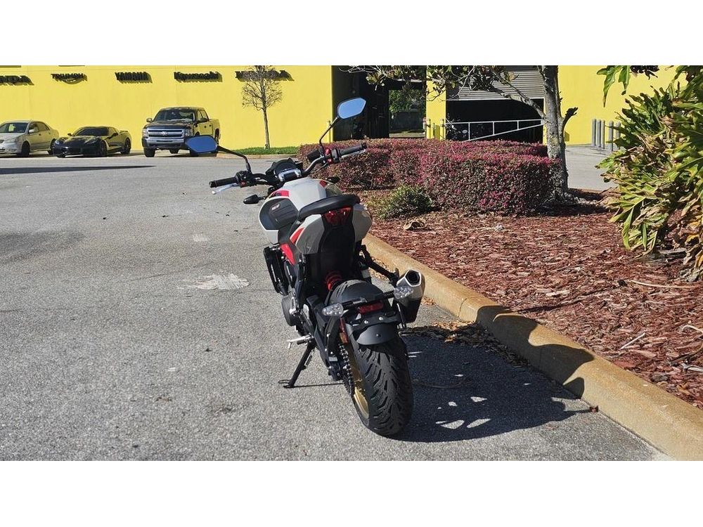 2026 Triumph Trident 800 Ash Grey