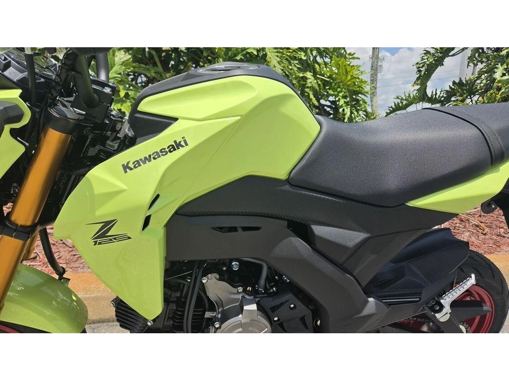 2026 Kawasaki Z125 Pro