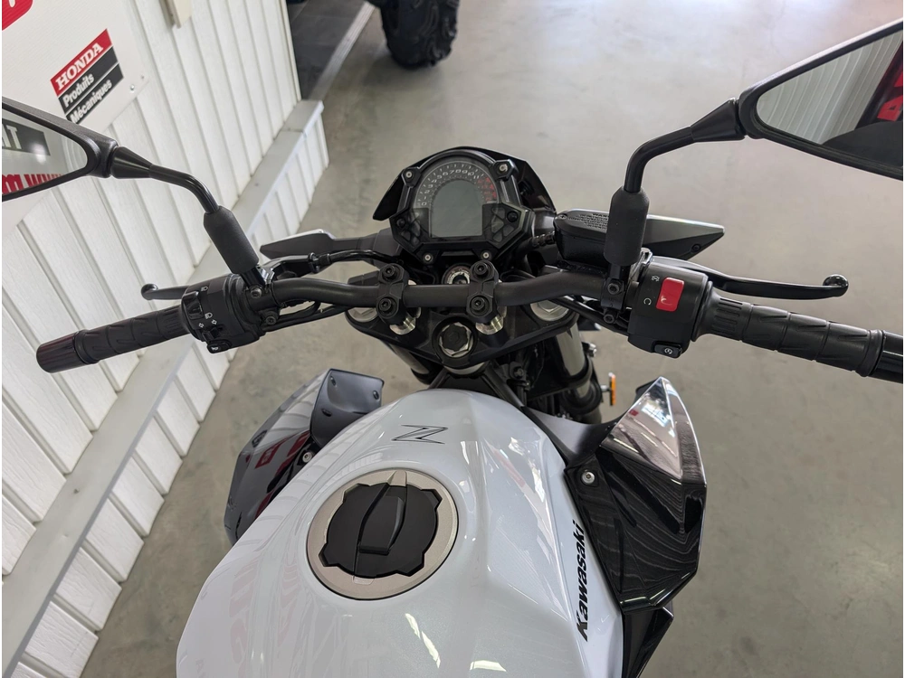 Kawasaki Z 400 2019 alt
