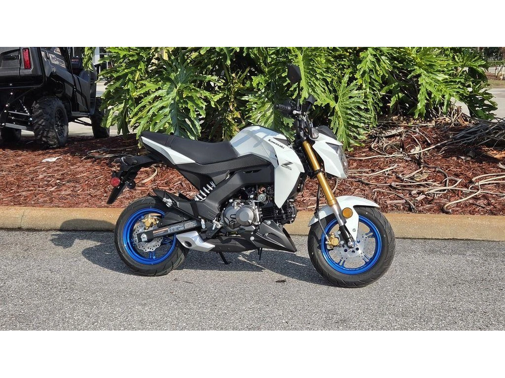 2026 Kawasaki Z125 Pro