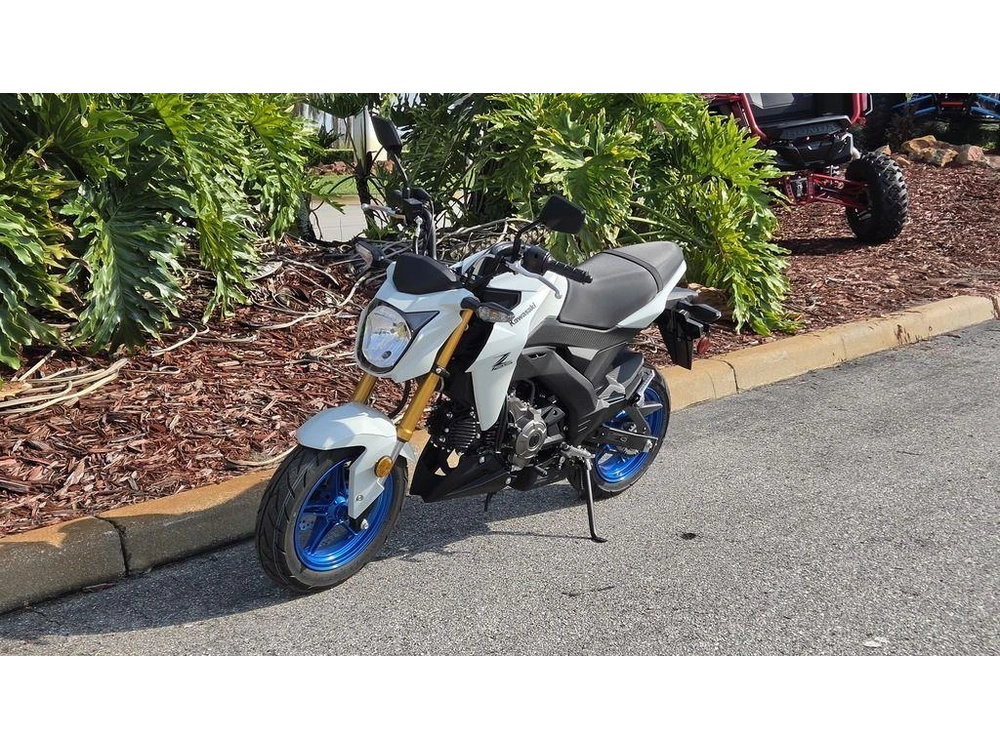 2026 Kawasaki Z125 Pro