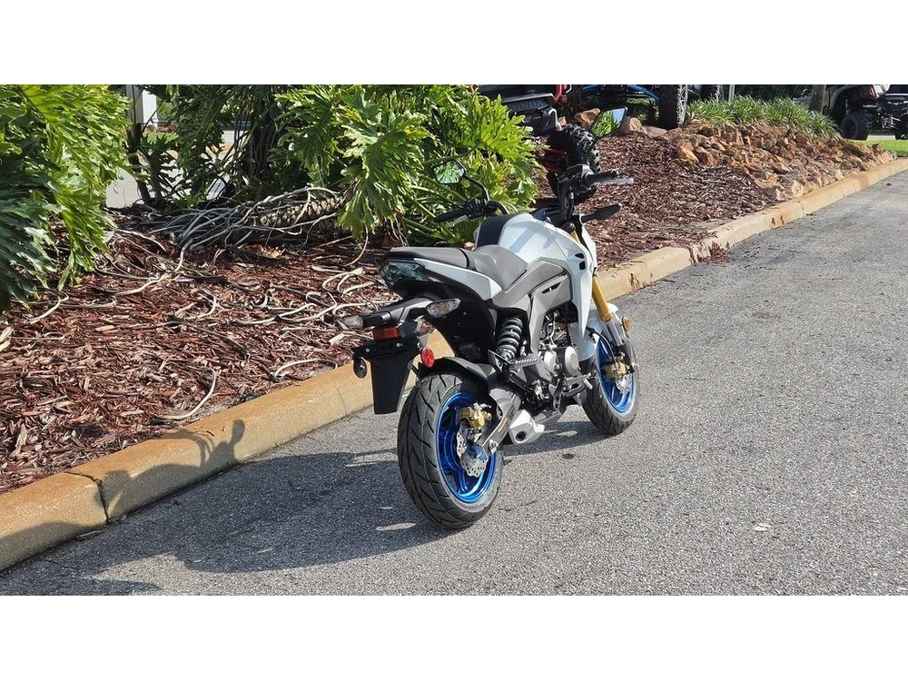 2026 Kawasaki Z125 Pro