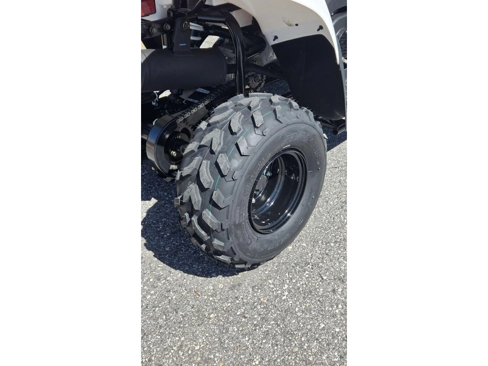 2027 Kawasaki Kfx®50
