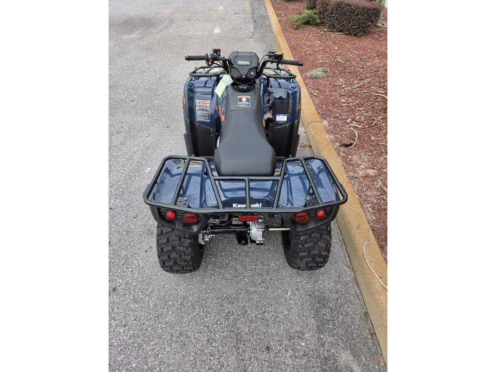 2026 Kawasaki Brute Force® 300