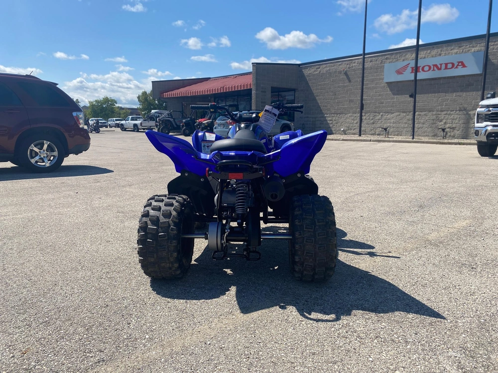 2026 Yamaha Raptor 110
