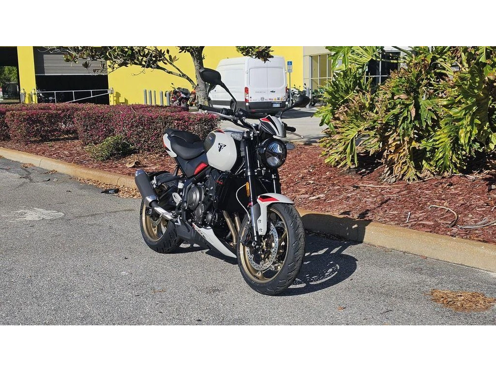 2026 Triumph Trident 800 Ash Grey