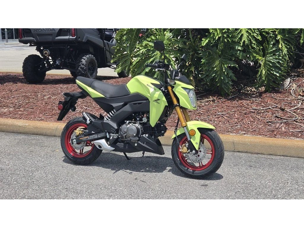 2026 Kawasaki Z125 Pro