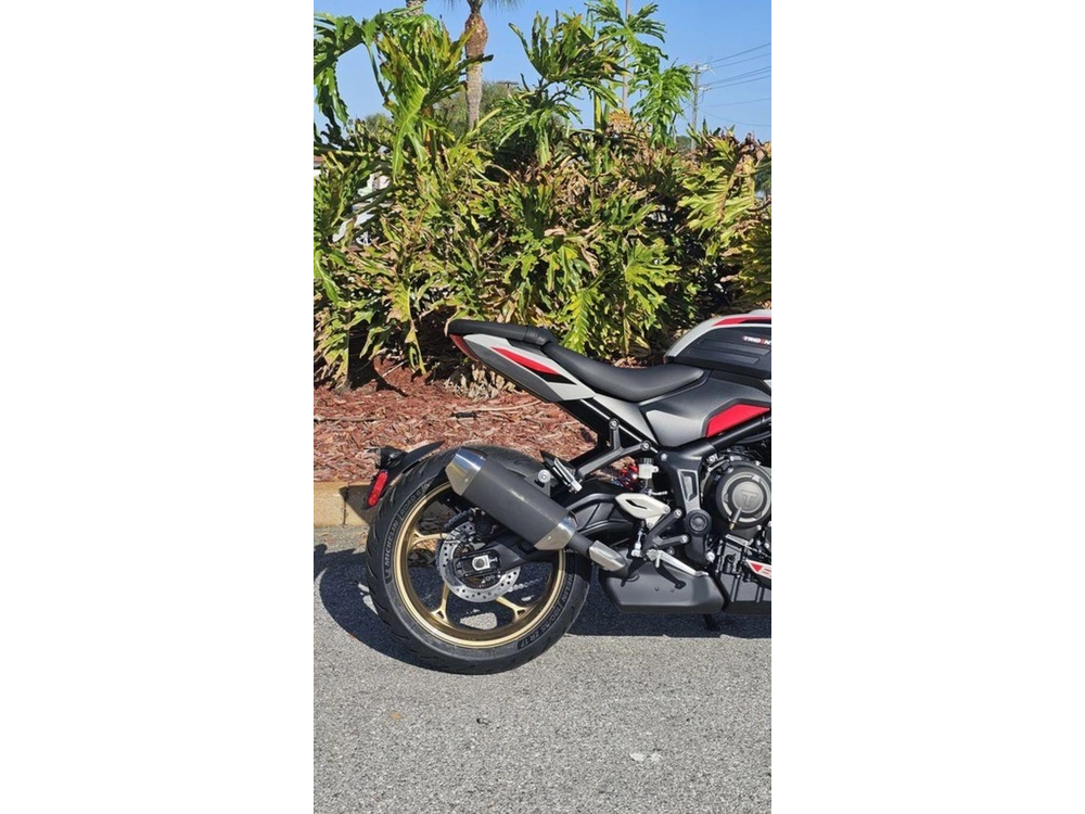 2026 Triumph Trident 800 Ash Grey