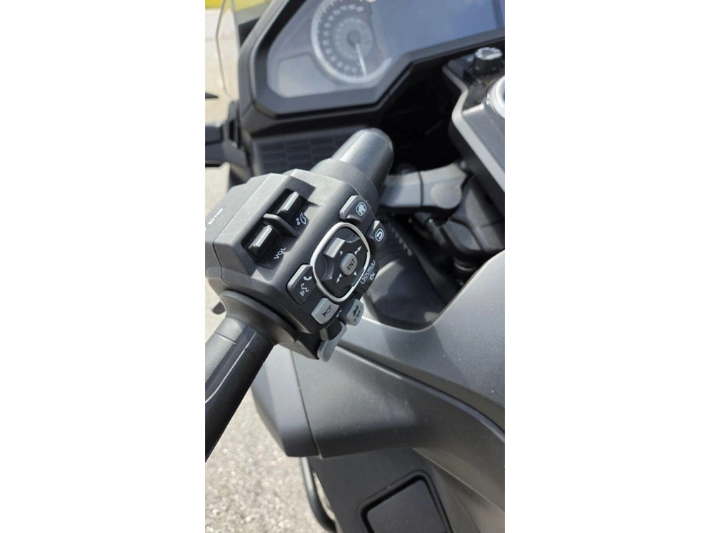 2025 Honda Gold Wing 50th Anniversary Dct