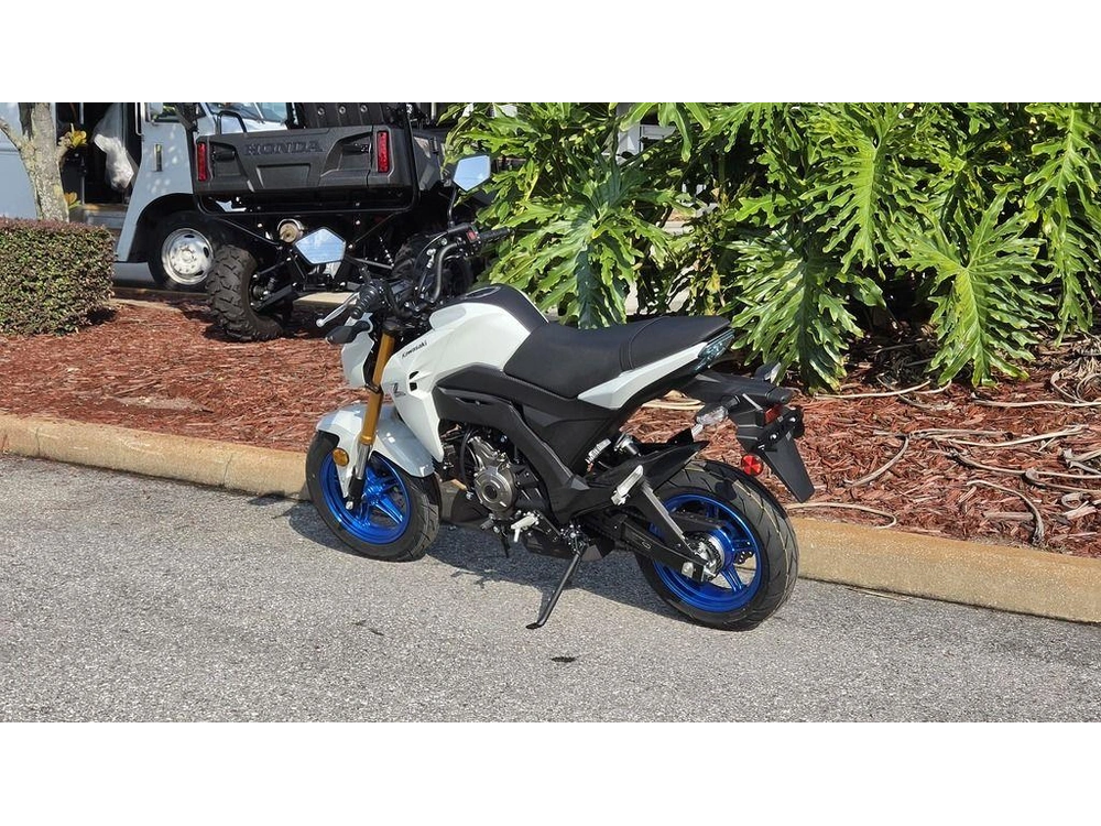 2026 Kawasaki Z125 Pro