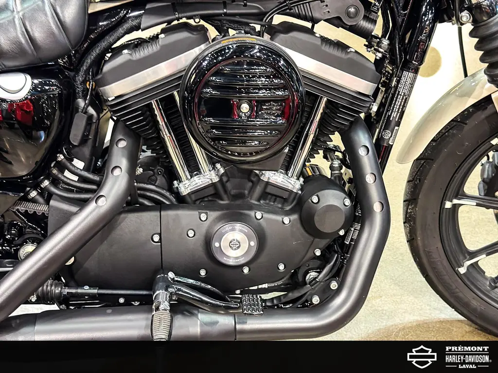 Harley-Davidson SPORTSTER IRON 883XL883 2022