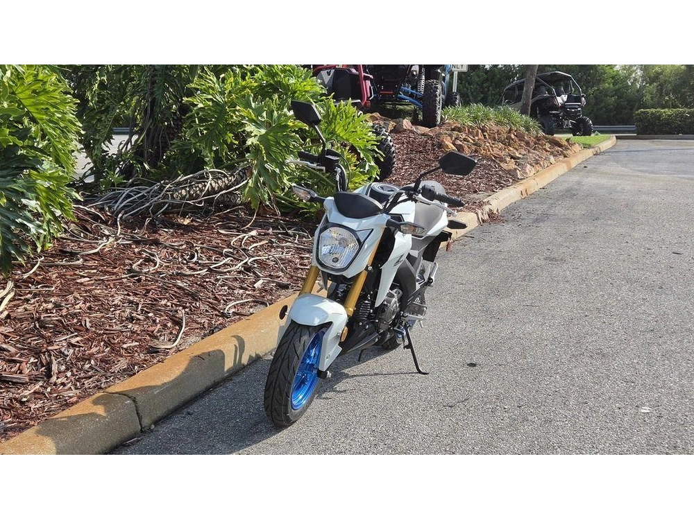 2026 Kawasaki Z125 Pro
