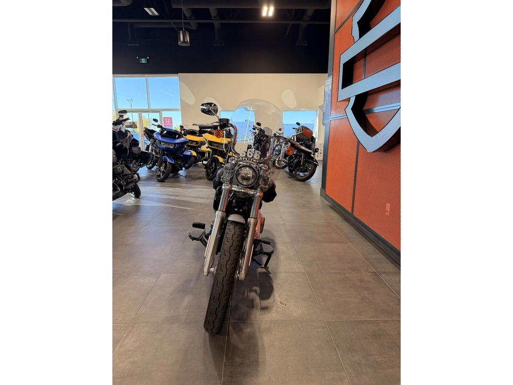 2024 Harley-davidson Softail Standard
