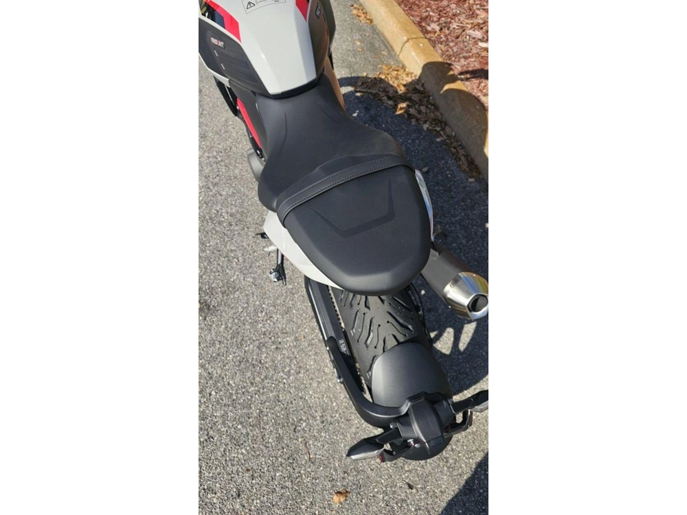 2026 Triumph Trident 800 Ash Grey