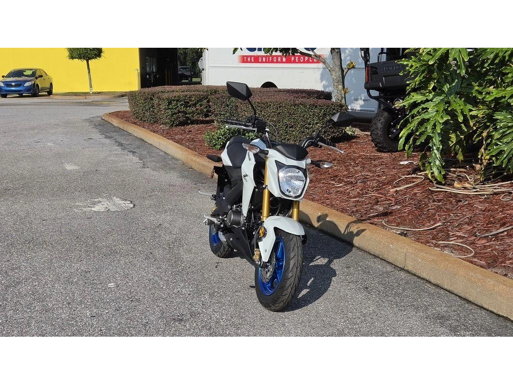 2026 Kawasaki Z125 Pro