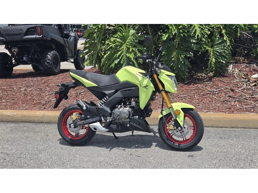 2026 Kawasaki Z125 Pro