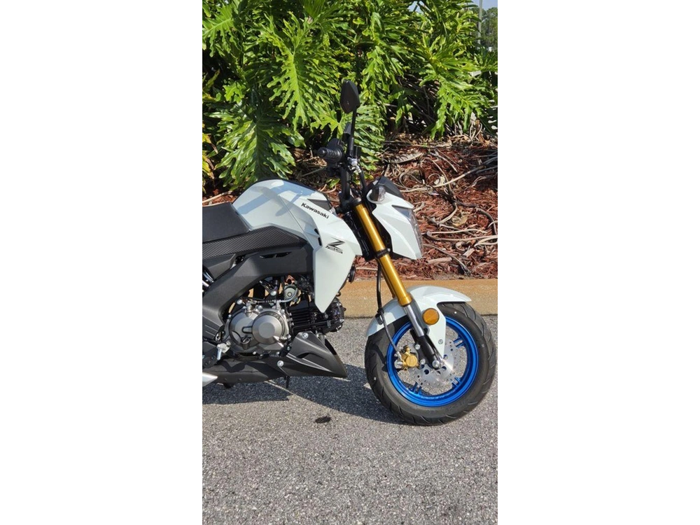 2026 Kawasaki Z125 Pro