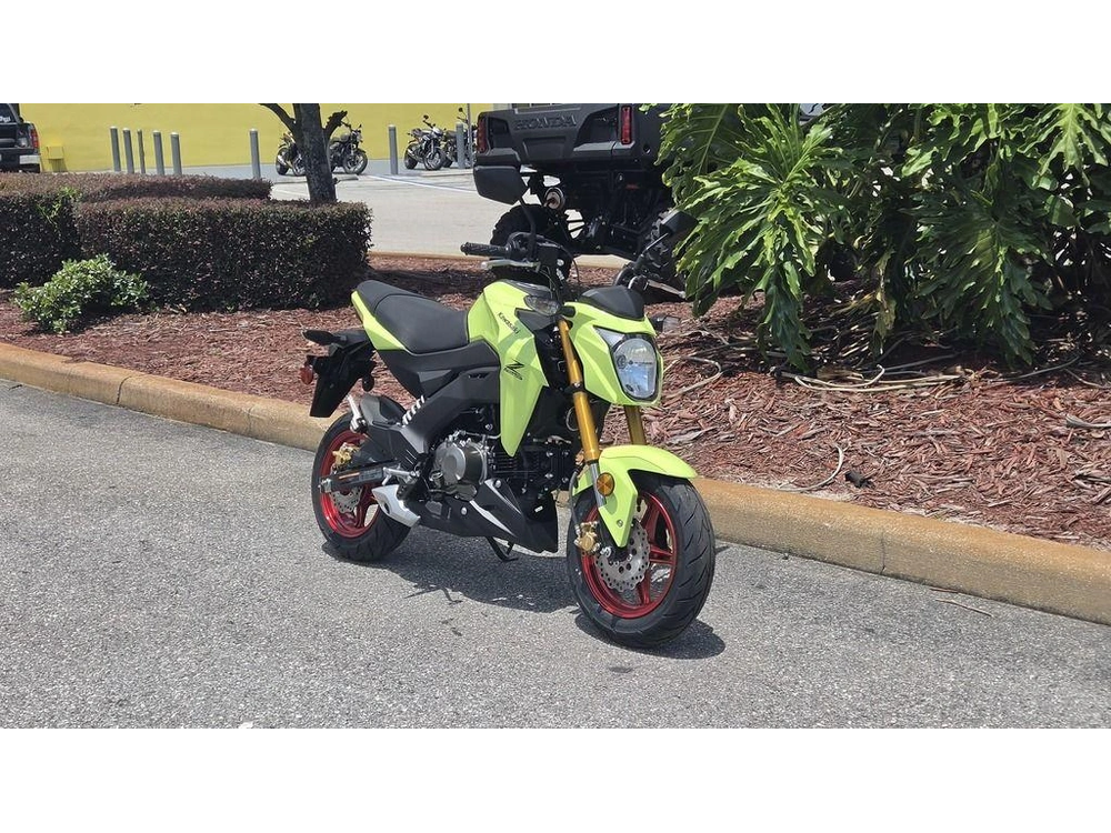 2026 Kawasaki Z125 Pro