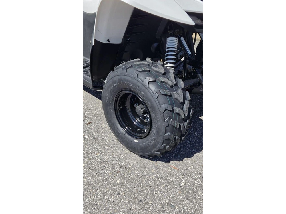 2027 Kawasaki Kfx®50