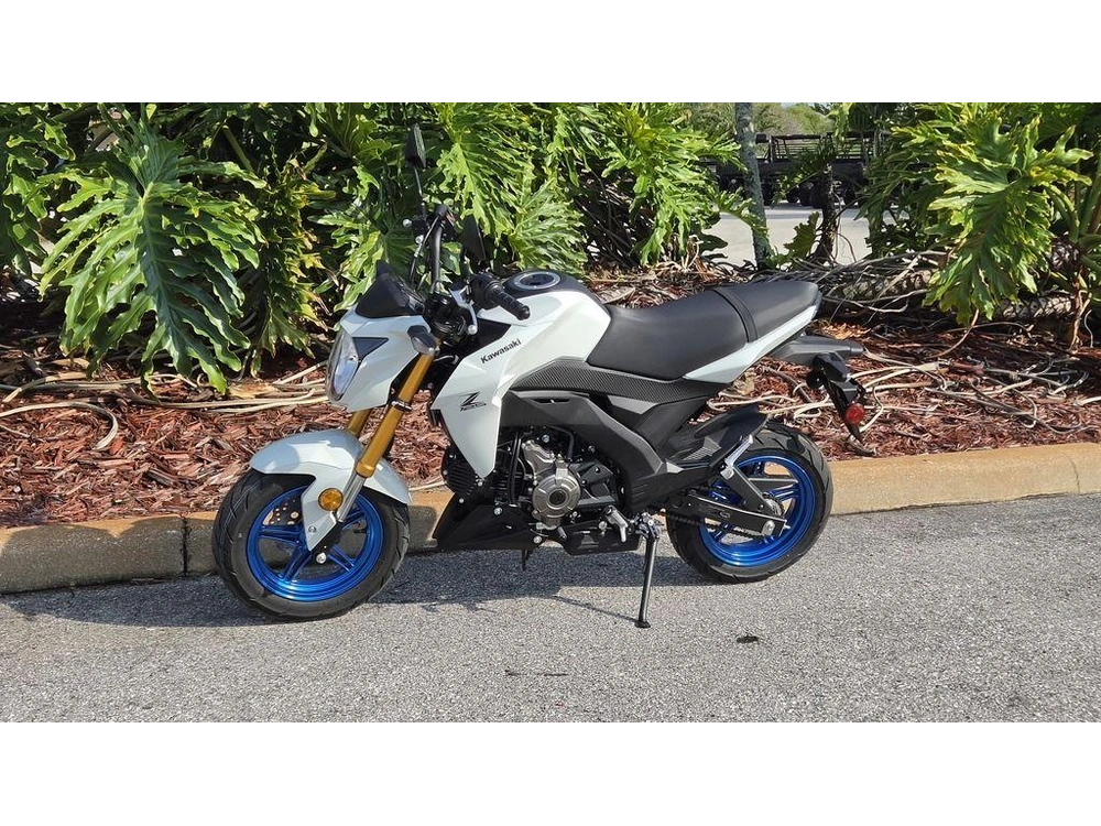 2026 Kawasaki Z125 Pro