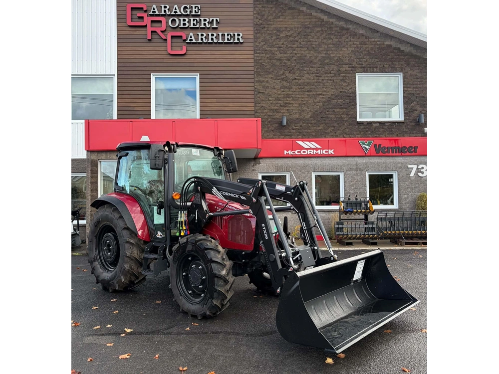 Mccormick X4.080 None