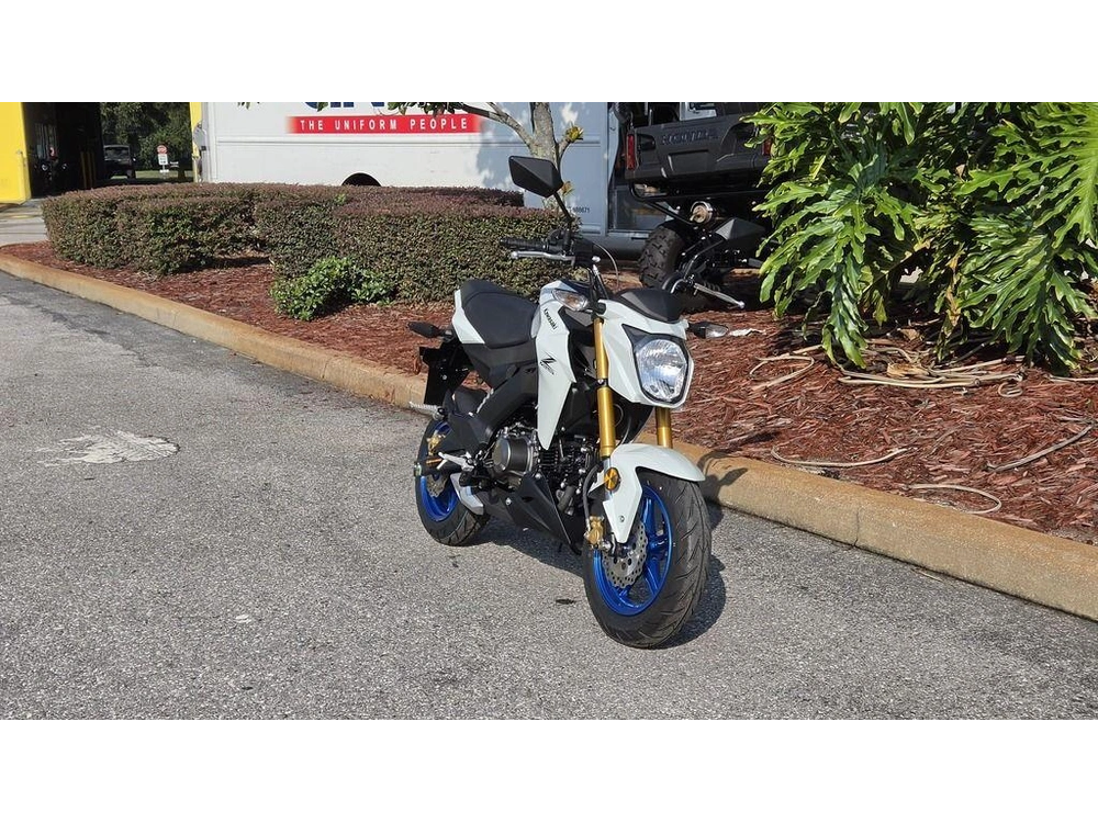 2026 Kawasaki Z125 Pro