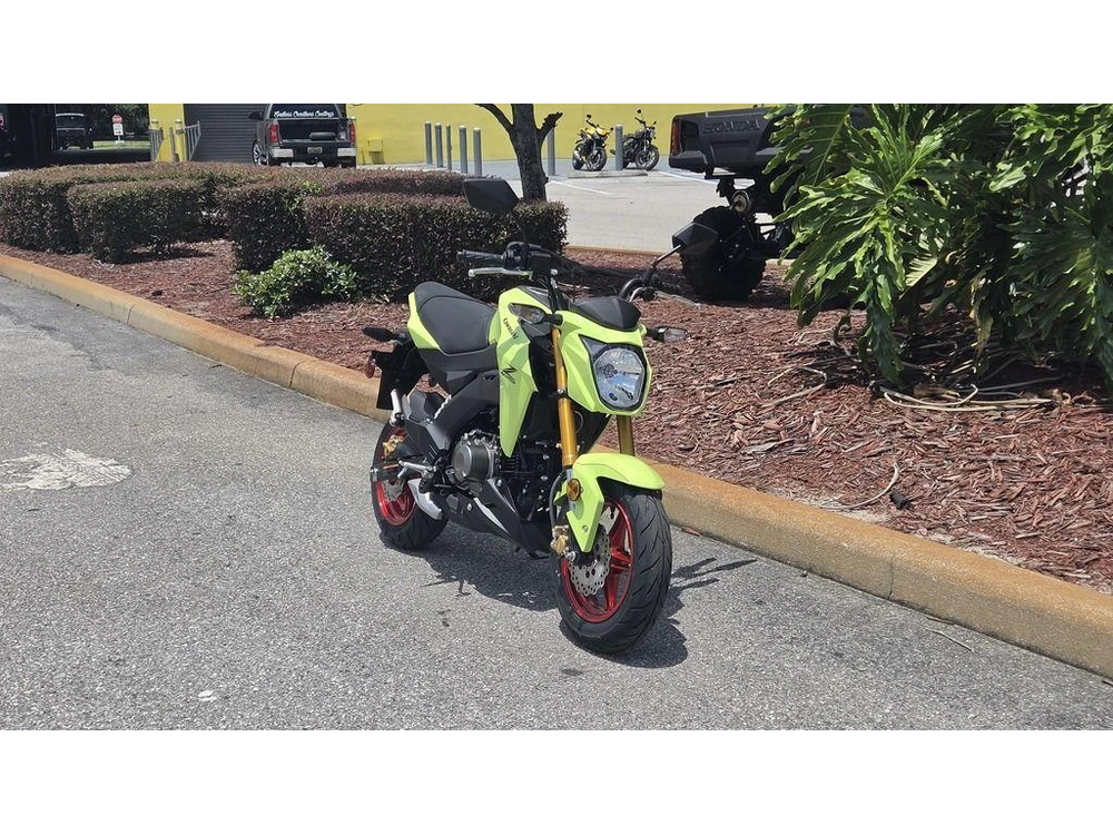 2026 Kawasaki Z125 Pro