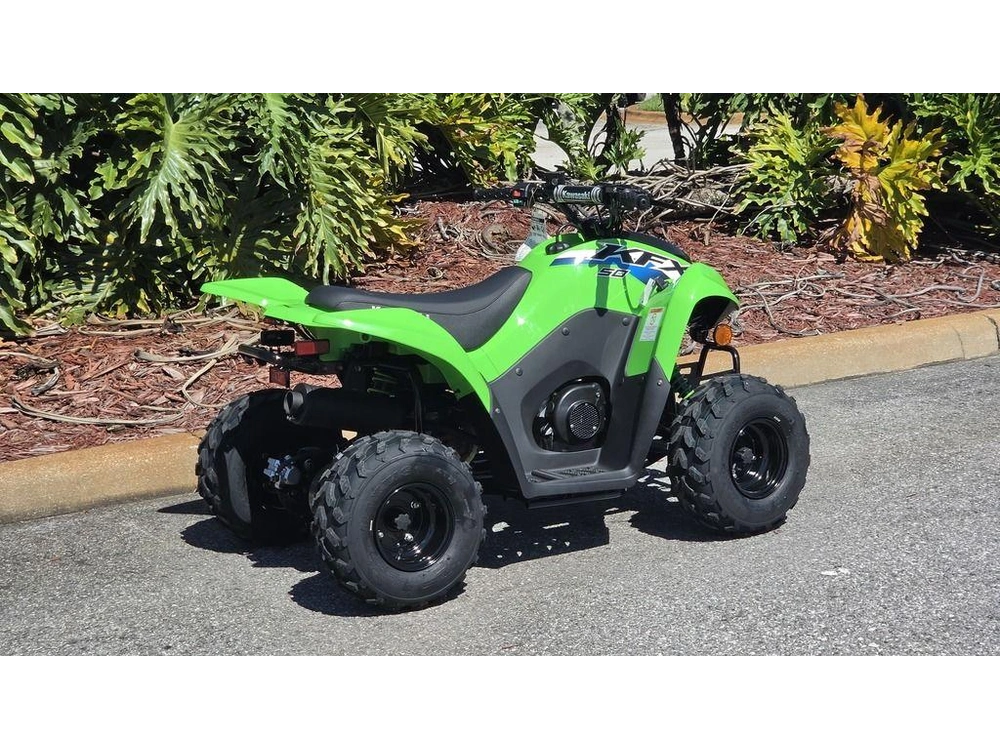 2027 Kawasaki Kfx®50