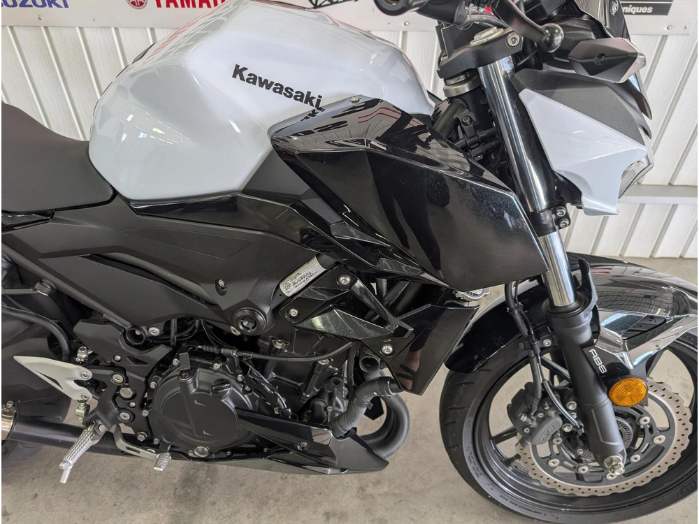 Kawasaki Z 400 2019 alt