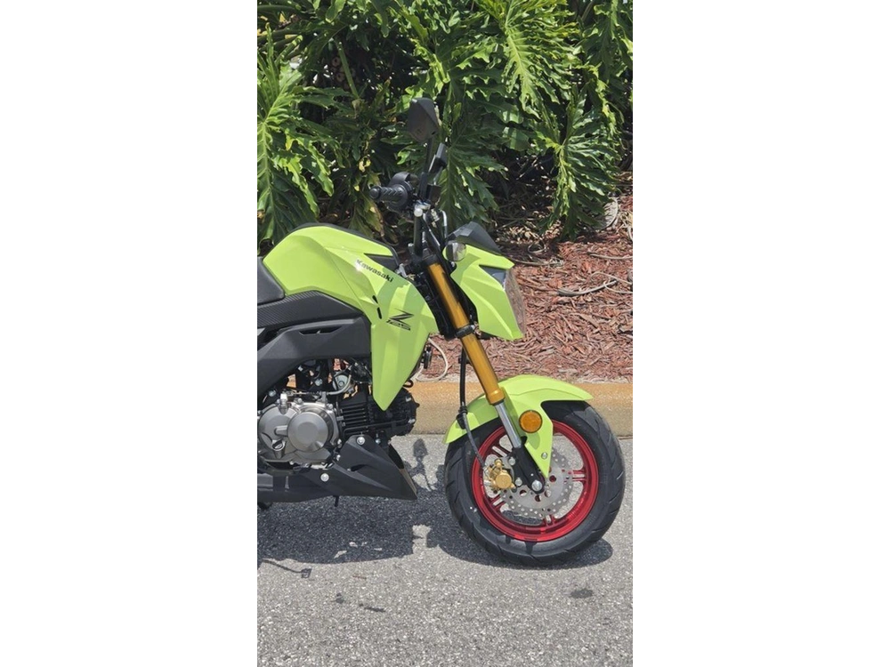 2026 Kawasaki Z125 Pro