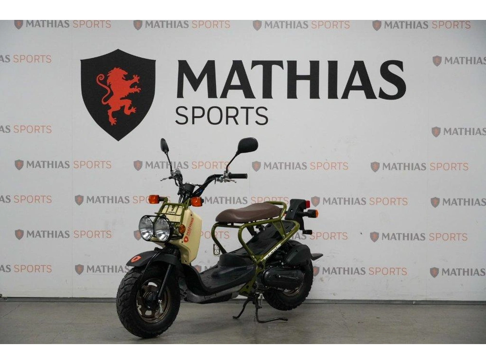 Honda Ruckus Demo 2024