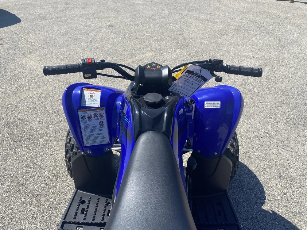 2026 Yamaha Raptor 110