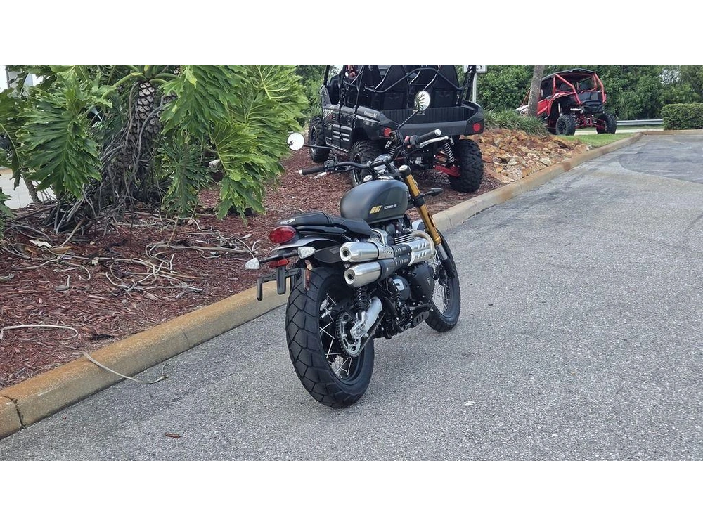2026 Triumph Scrambler 900 Matt Khaki Green