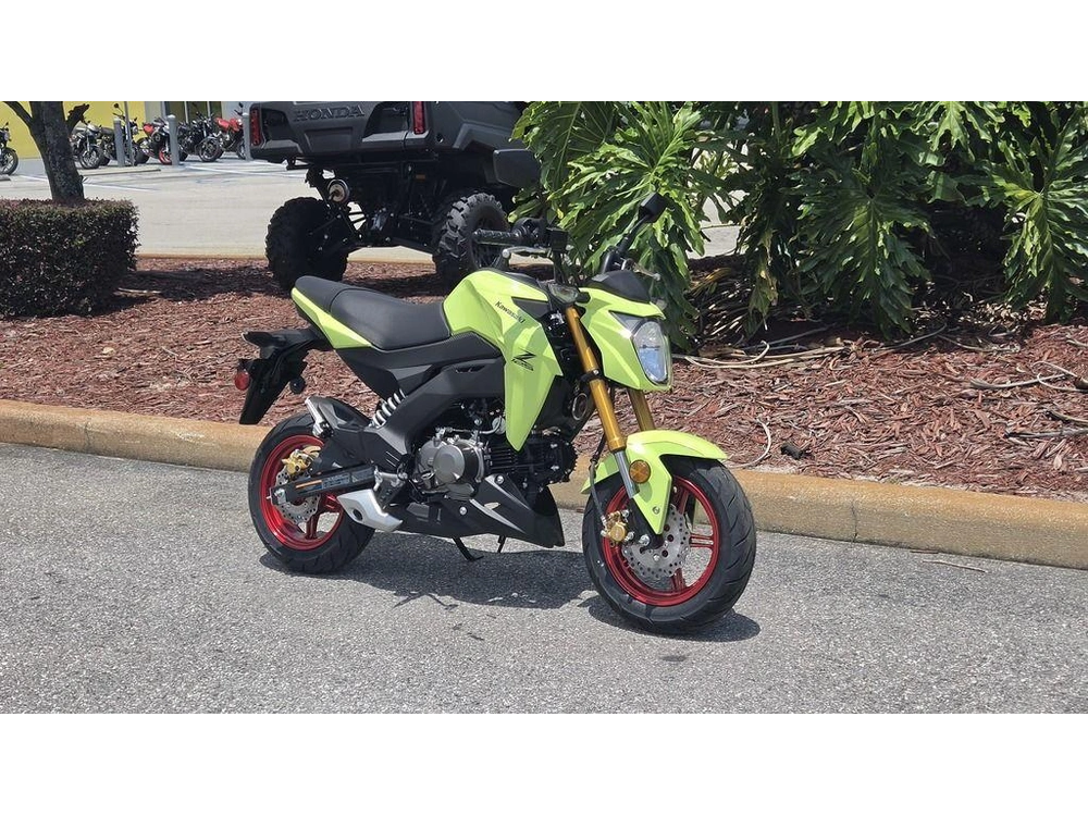 2026 Kawasaki Z125 Pro