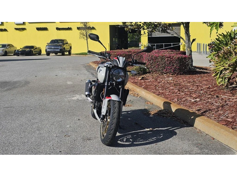 2026 Triumph Trident 800 Ash Grey