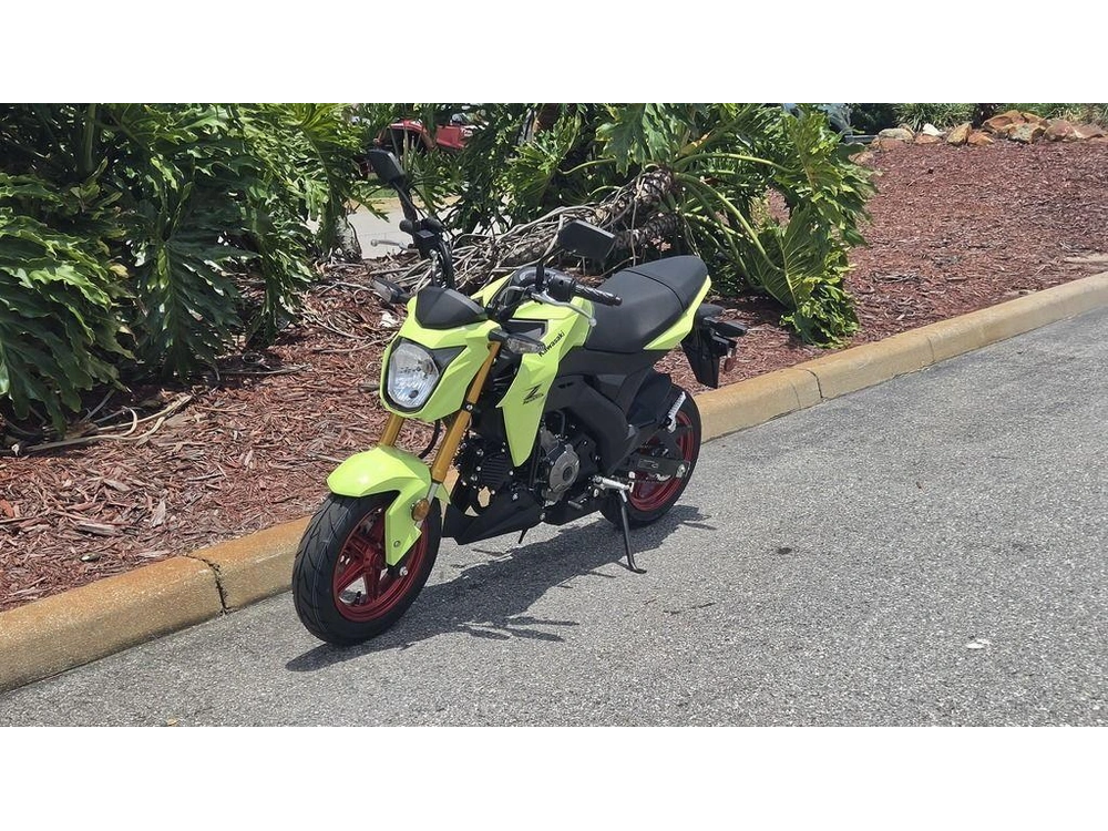 2026 Kawasaki Z125 Pro