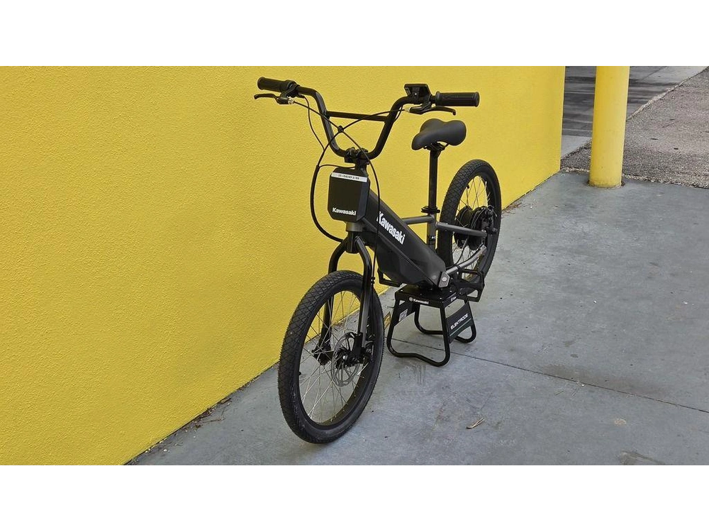 2025 Kawasaki Elektrode® 20fs