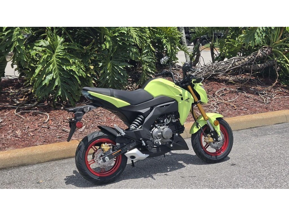 2026 Kawasaki Z125 Pro