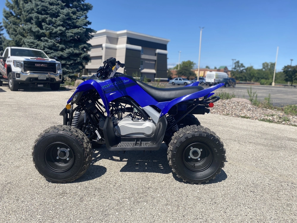 2026 Yamaha Raptor 110