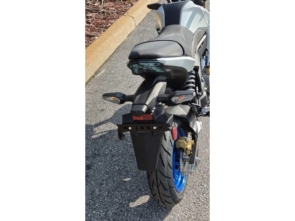 2026 Kawasaki Z125 Pro